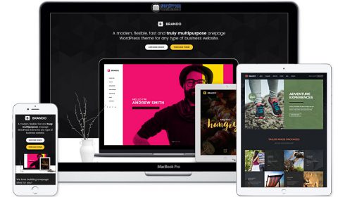 Brando Responsive and Multipurpose OnePage WordPress Theme