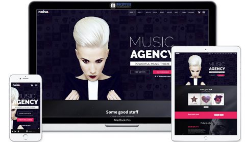 Noisa - WordPress Music & Events Theme