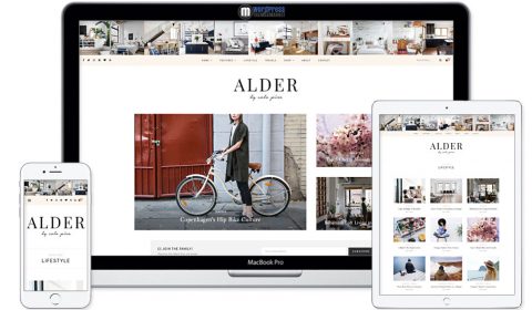 Alder - A Responsive WordPress Blog Theme