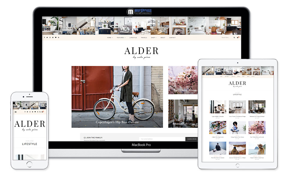 Alder - A Responsive WordPress Blog Theme