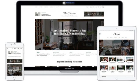 Carrie - Personal & Magazine WordPress Responsive Clean Blog Theme