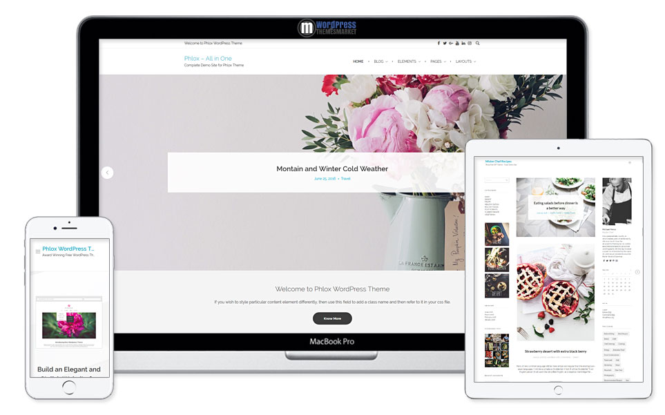 Phlox Free WordPress Theme