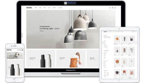 Seese - Responsive eCommerce Theme