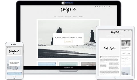 Soigne - A Responsive Minimal WordPress Blog Theme