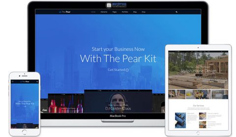Pear - Responsive Multi-Purpose WordPress Theme